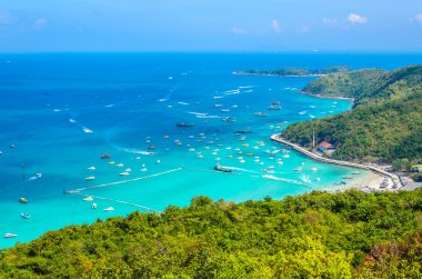 pattaya şehir Tayland Koh Larne Adası tropik beach