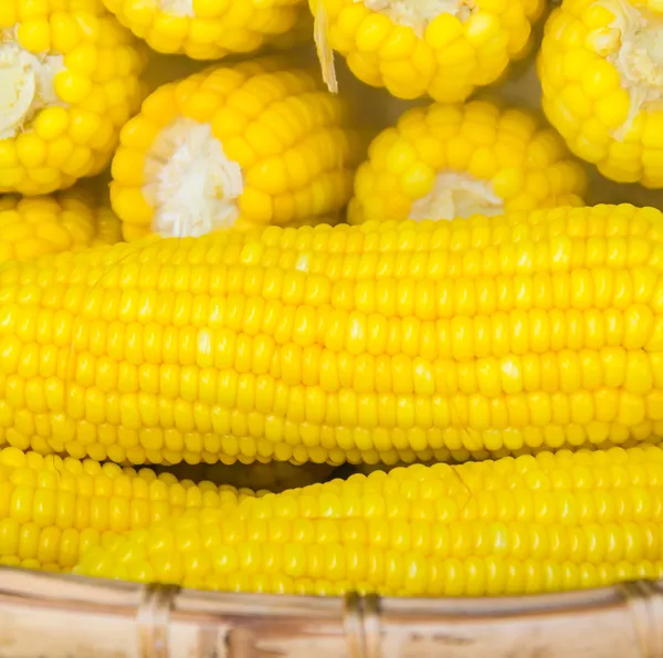 Steam corn — Stock Photo, Image