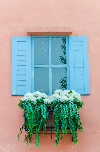 Ventana — Foto de Stock