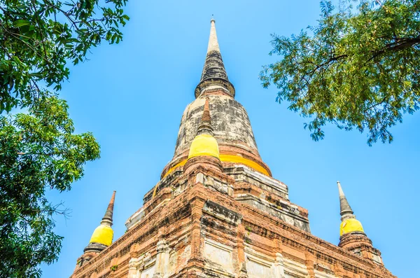 Wat yai chaimongkol chrám v ayutthaya Thajsko — Stock fotografie