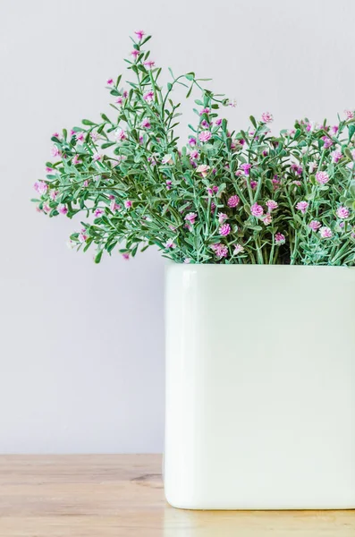 Ozdoba wazon — Zdjęcie stockowe