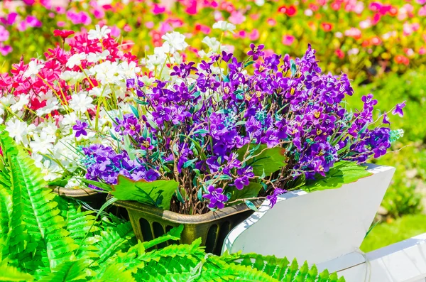 Carrinho de flores — Fotografia de Stock