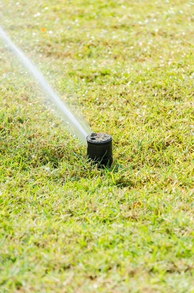 Sprinkle on grass — Stock Photo, Image