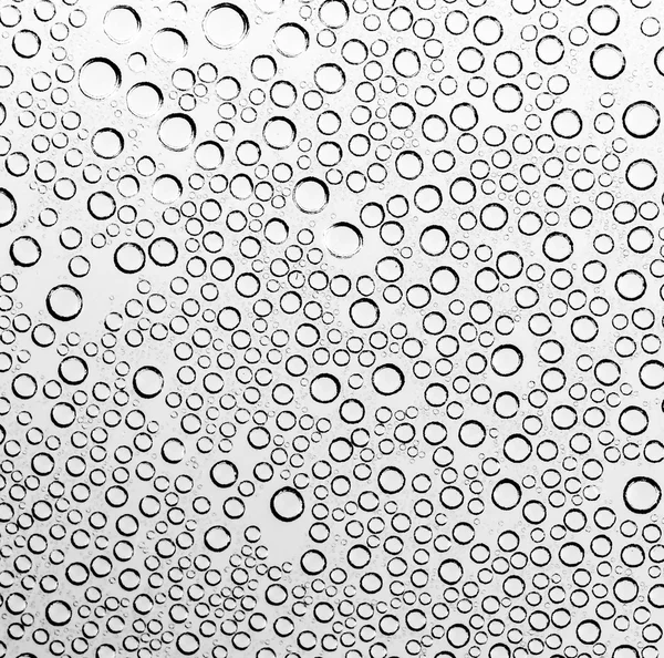 Gotas de agua en blanco y negro —  Fotos de Stock