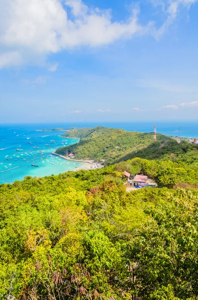 Pattaya Tayland 'daki Koh Larn Adası