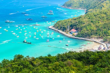 pattaya şehir Tayland Koh Larne Adası tropik beach