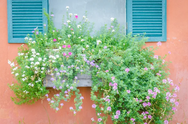 花の花瓶の装飾 — ストック写真