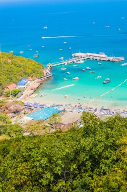 pattaya şehir Tayland Koh Larne Adası tropik beach
