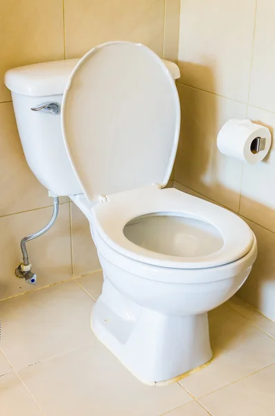 Toilettensitz — Stockfoto