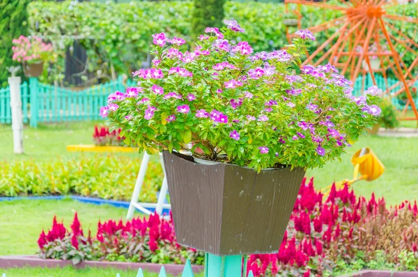 Flower vase decoration — Stock Image Flower vase decoration Stock Photo