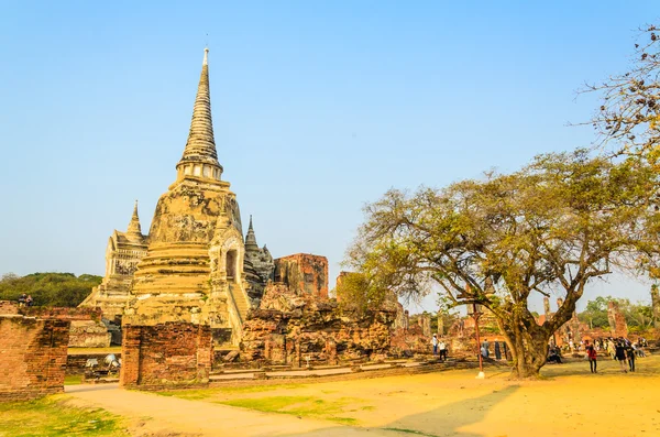 扫管笏 phra sanphet 寺在大城府 — 图库照片