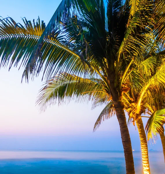 Twilight tider med kokosnöt träd — Stockfoto