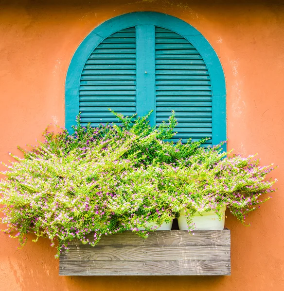 Ventana Toscana — Foto de Stock