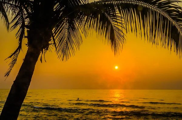Silhouette palm sunset — Stock Photo, Image