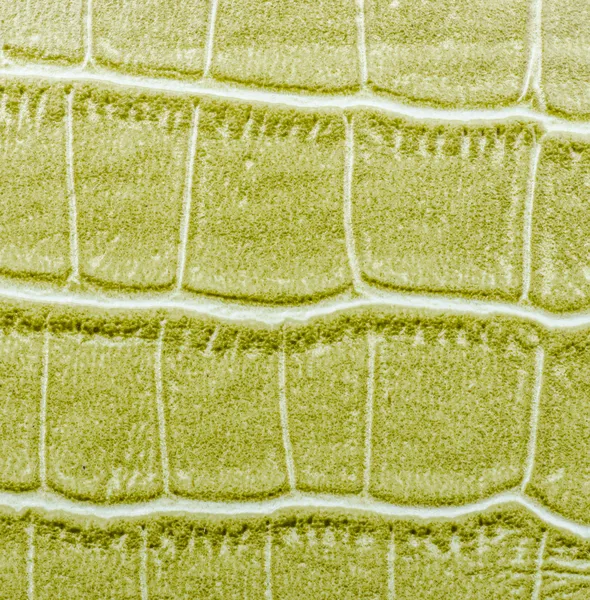 Yeşil deri dokusu arkaplanı — Stok fotoğraf