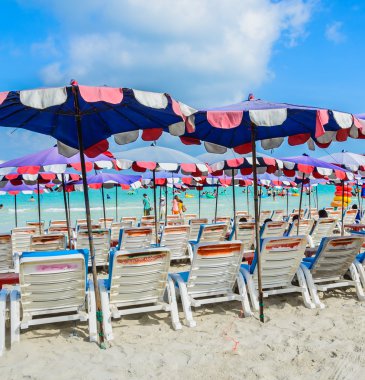 pattaya şehir Tayland Koh Larne Adası tropik beach