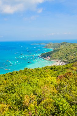 Pattaya Tayland 'daki Koh Larn Adası