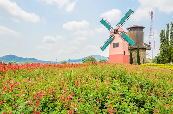 Mulino a vento — Foto Stock