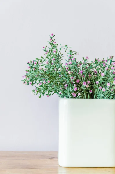 Décoration vase fleur — Photo