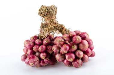 izole soğancık beyaz arka plan