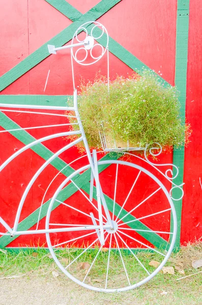 Bicycle flower — Stock Photo, Image