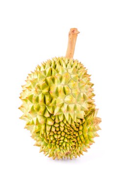 Durian meyve