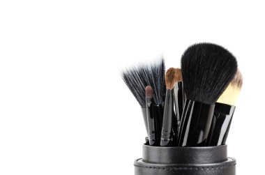 Makyaj fırçaları