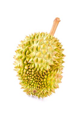 Durian meyve