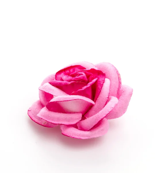 Rosa Ros — Stockfoto