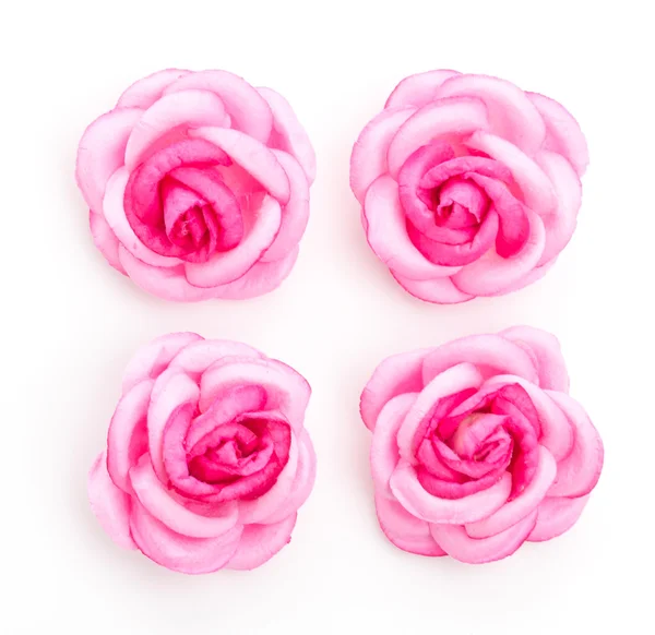 Rosas cor de rosa — Fotografia de Stock