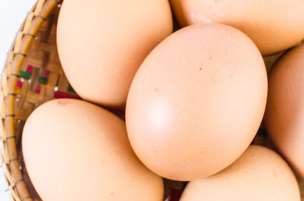 Eggs — Stock Photo, Image