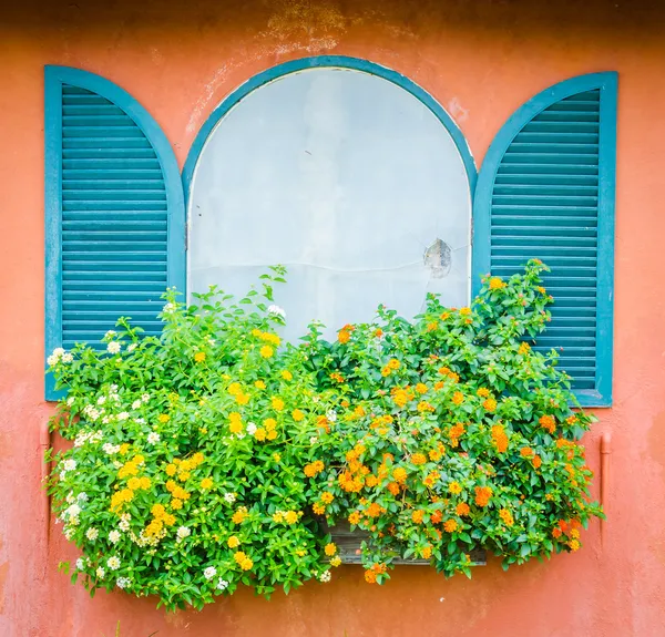 Ventana Toscana — Foto de Stock