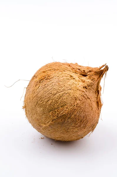 Coco isolado fundo branco — Fotografia de Stock
