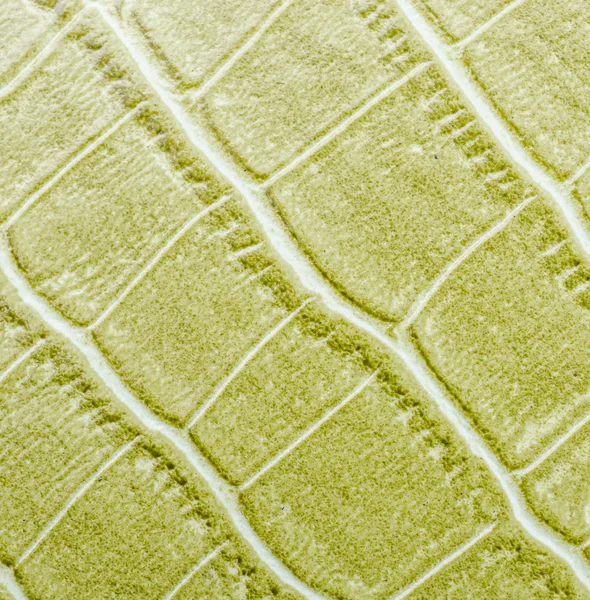 Yeşil deri dokusu arkaplanı — Stok fotoğraf