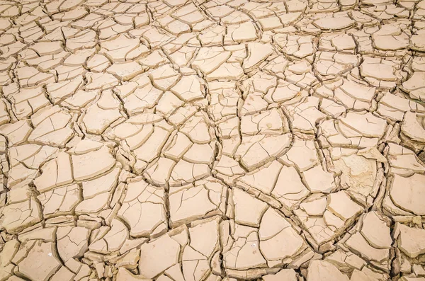 Cracked soil — Stock Photo, Image