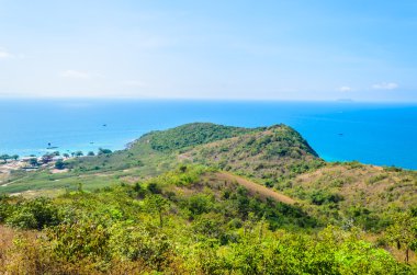 pattaya şehir Tayland Koh Larne Adası tropik beach