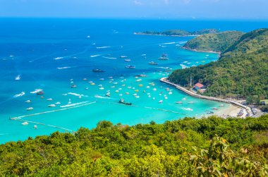 pattaya şehir Tayland Koh Larne Adası tropik beach