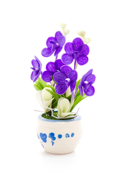 Blue flower in pot — Stock Photo, Image