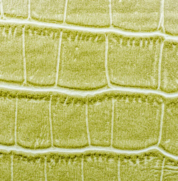 Textura de cuero verde fondo — Foto de Stock