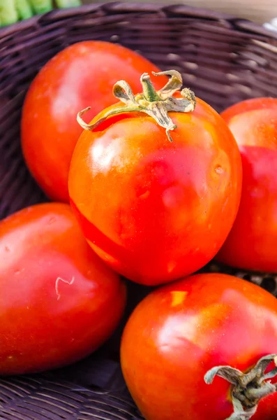 Tomatos — Stock Image Tomatos Stock Picture