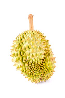 Durian meyve