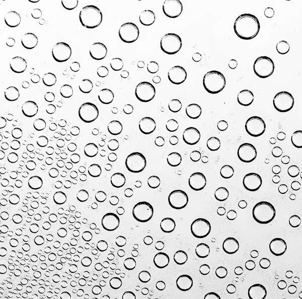 Water drop on black and white background — Stock Photo, Image