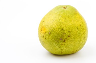 Yeşil greyfurt izole beyaz arka plan