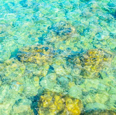 Koh Larne beach Adası'nda pattaya Tayland