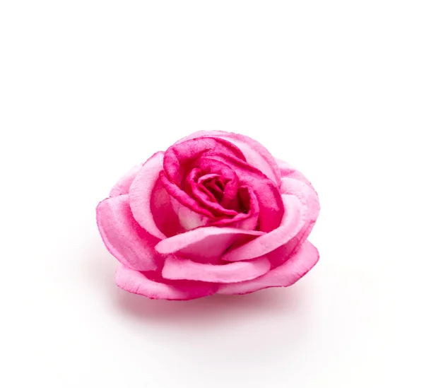 Pink Rose geïsoleerd op witte achtergrond — Stockfoto