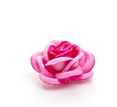 Pembe Gül beyaz arkaplanda izole edildi