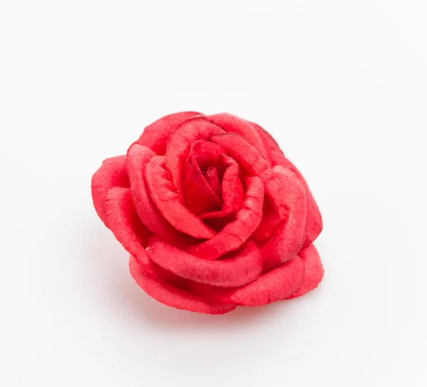 Red rose isolated on white background — Stock Photo, Image