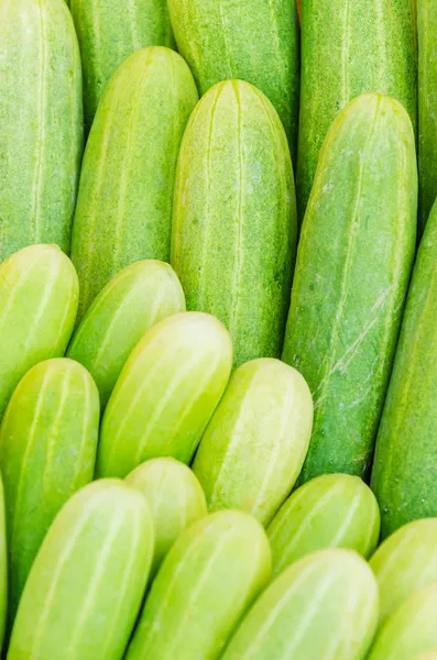 Cucumbers — Stock Photo, Image