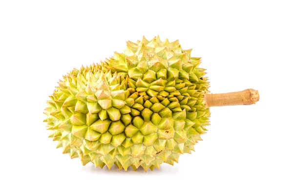 Durian fruit isolated white background — Stock Photo, Image