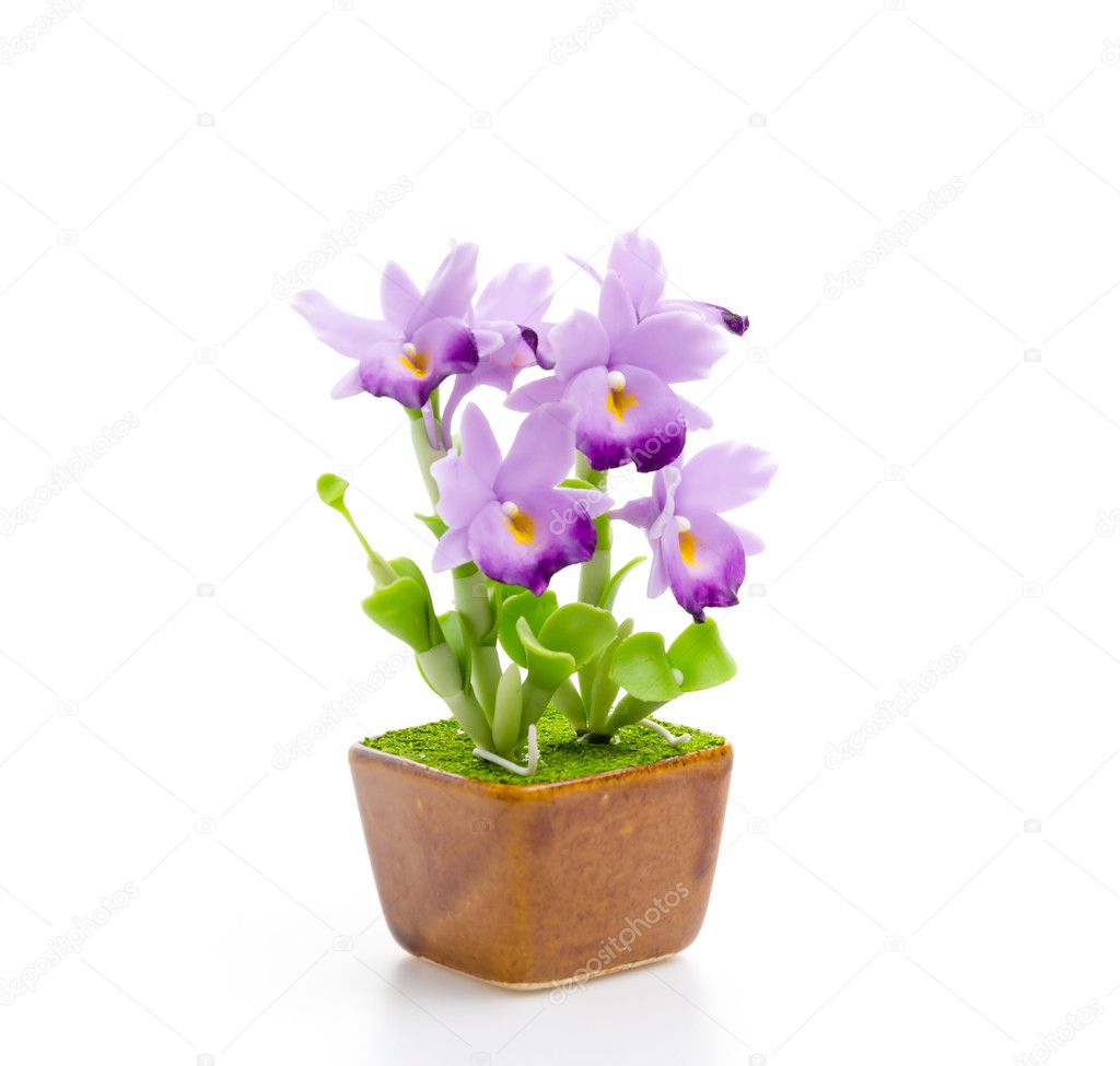 Flowers in pot